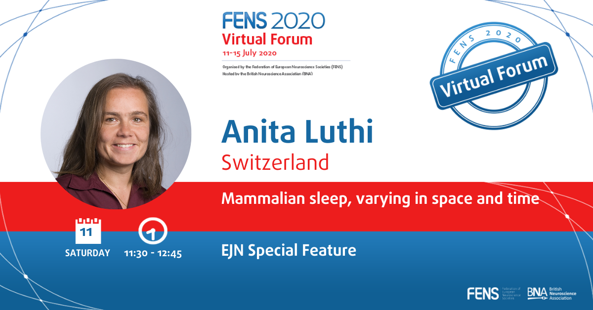 Anita presents the European Journal of Neuroscience Special Feature Lecture at FENS Forum 2020