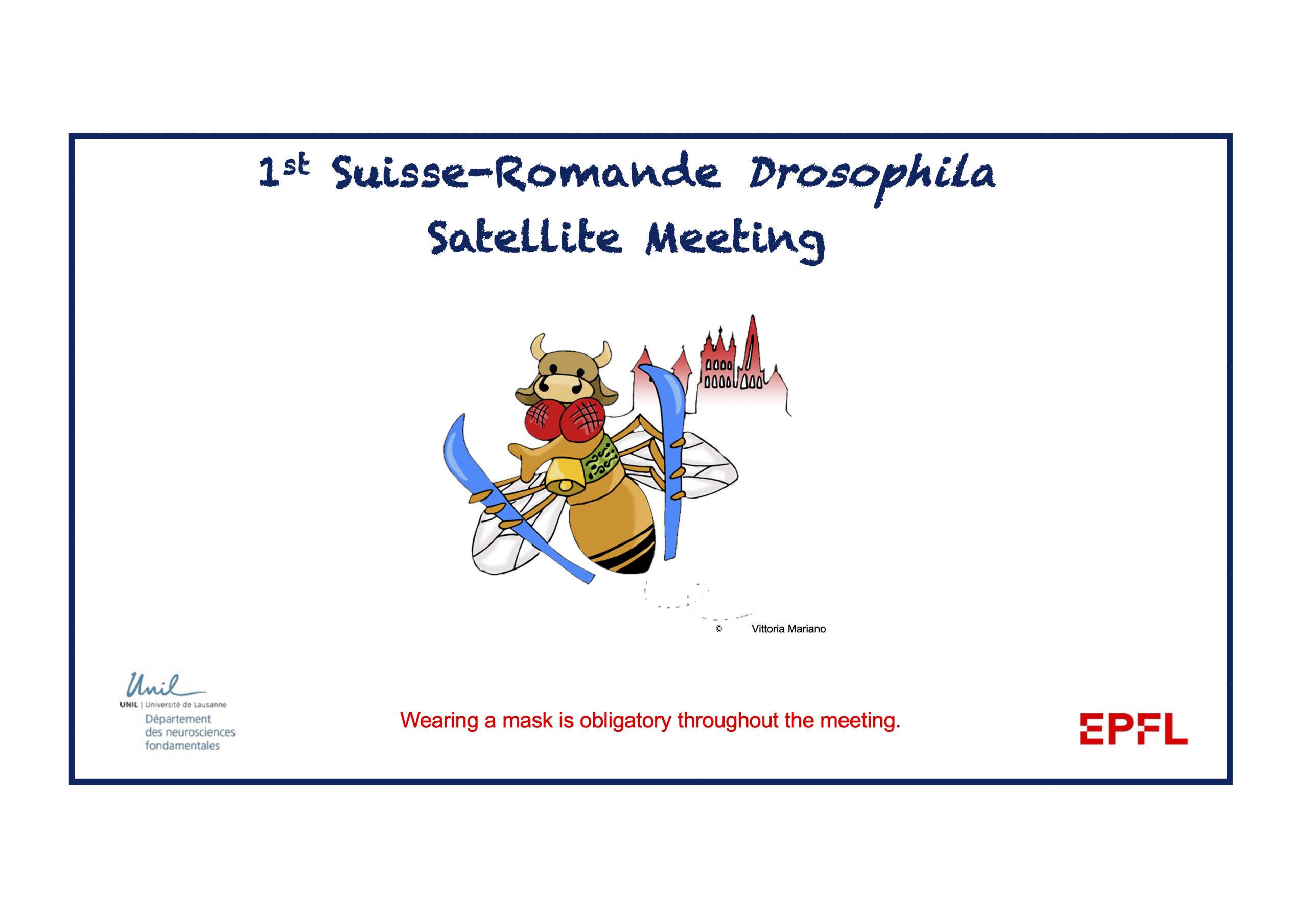 The first Suisse-Romande Drosophila Satellite Meeting takes place at our department