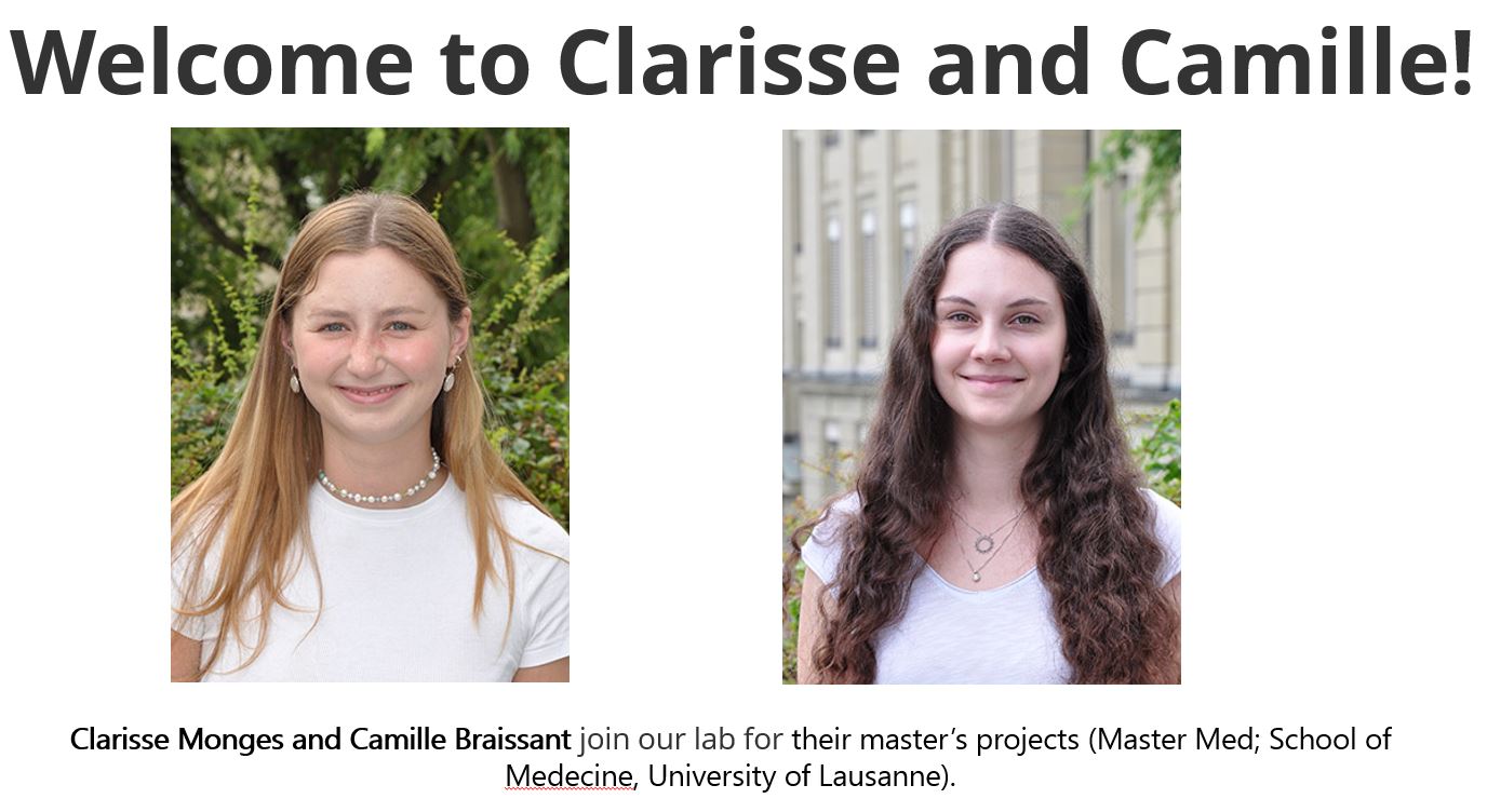 Welcome to Clarisse and Camille!